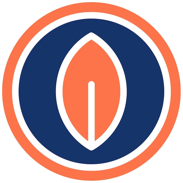 Atelier de vîshevka — Broderii tradiționale logo